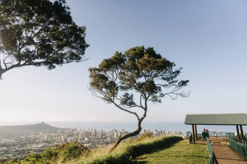 Cape Town Deal